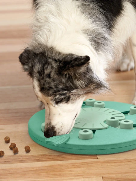 Outward Hound Jouet Interactif / Puzzle Pour Chien - Dog Worker - Niveau 3 – Image 3