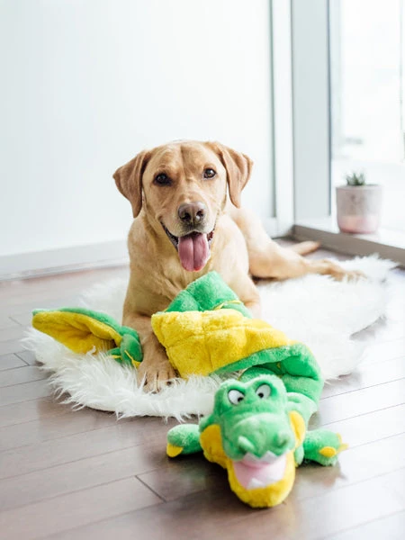 Outward Hound Jouet En Peluche Pour Chien - Matz Gator XL - 16 Squeakers – Image 5