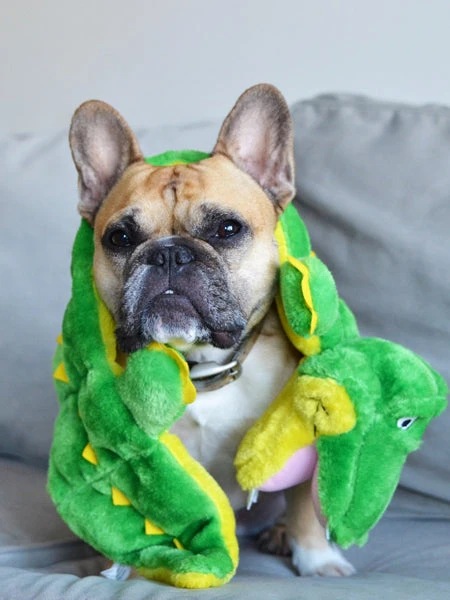 Outward Hound Jouet En Peluche Pour Chien - Matz Gator XL - 16 Squeakers – Image 6