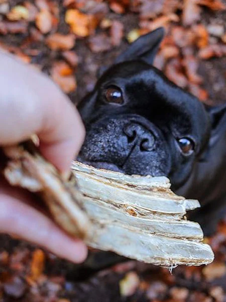 Friandise De Mastication Pour Chien - Ribs De Gibier - Paul & Paulina â Image 2