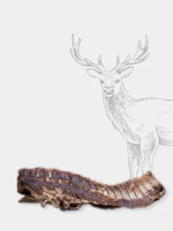 Friandise De Mastication Pour Chien - Ribs XXL De Cerf - Paul & Paulina