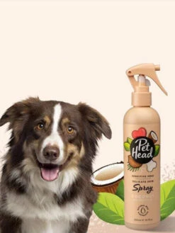 Pet Head Spray Sans Rinçage Pour Chien Sensible - Noix De Coco 🥥