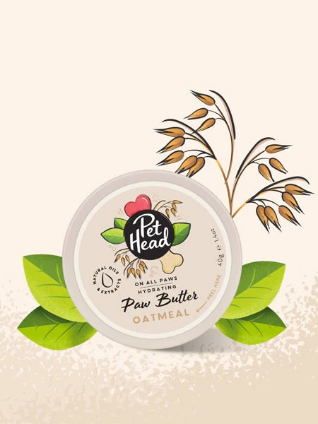 Pet Head Baume Hydratant Pour Les Coussinets Et La Truffe â Image 2