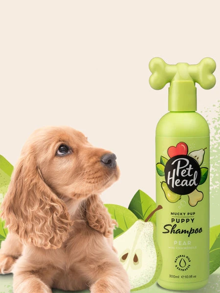 Pet Head Shampoing DĂ©licat Pour Chiot - Poire đ â Image 2