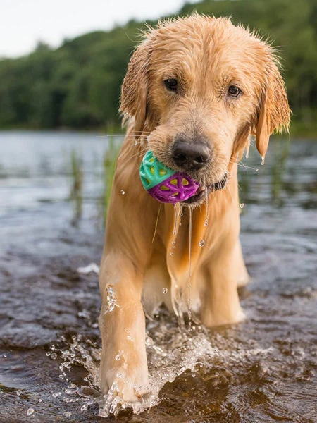 Balle Pour Chien Go-Go Astro Ball - Nebula - Pet PLAY