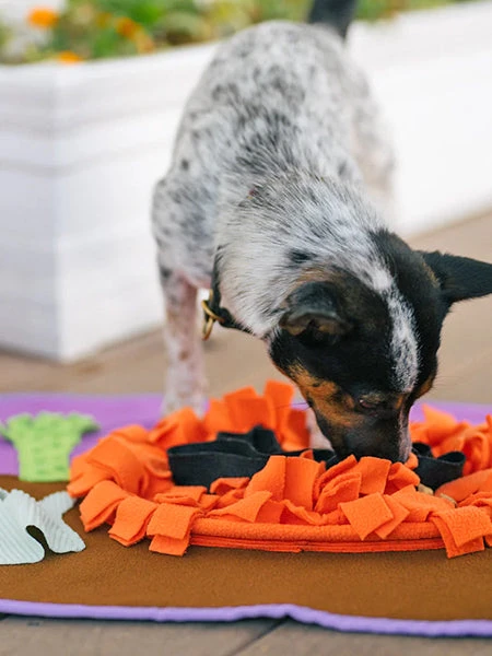 Grand Tapis De Fouille Snuffle Mat - Halloween đ» - Pet PLAY â Image 2