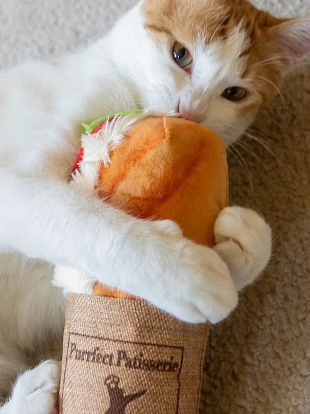 Maxi Jouet Pour Chat - Cat Kicker - Sandwich Au Thon – Image 2