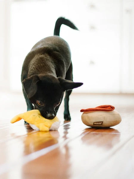 Jouet En Peluche Pour Chien - Barking Brunch - Oeuf Bénédicte 🥓🥚 - Pet PLAY – Image 2