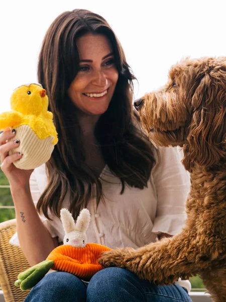 Peluche Pour Chien - Hippity Hoppity - Poussin Dans Son Ćuf đŁ