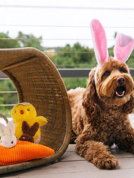 Peluche Pour Chien - Hippity Hoppity - Poussin Dans Son Ćuf đŁ â Image 4