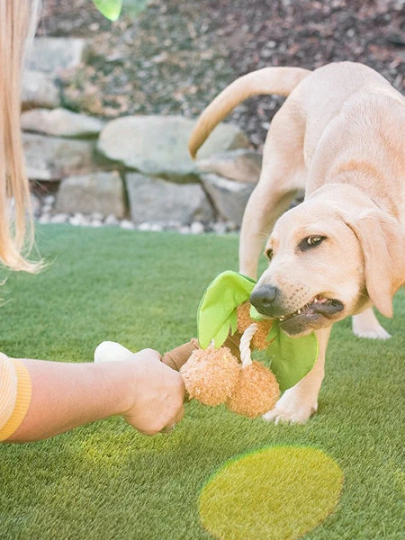 Jouet En Peluche Pour Chien - Tropical Paradise - Palmier - Pet PLAY – Image 2