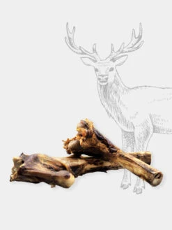 Friandise De Mastication - Os à Moelle De Cerf