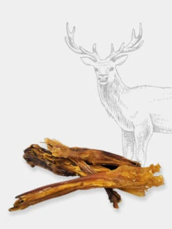 Friandise De Mastication - Tendons De Cerf