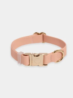 Collier Waterproof Cloud Pour Chien - PĂŞche - Shop Sunny Tails