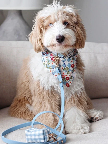 Laisse Waterproof Cloud Pour Chien - Bleu Pastel - Shop Sunny Tails – Image 2