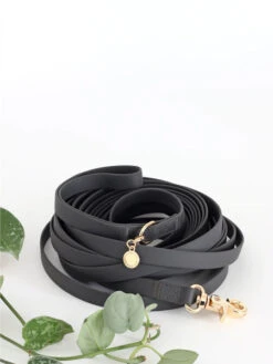 Longe Waterproof D'éducation Pour Chien - Noir - Shop Sunny Tails