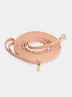 Longe Waterproof D'Ă©ducation Pour Chien - PĂȘche - Shop Sunny Tails