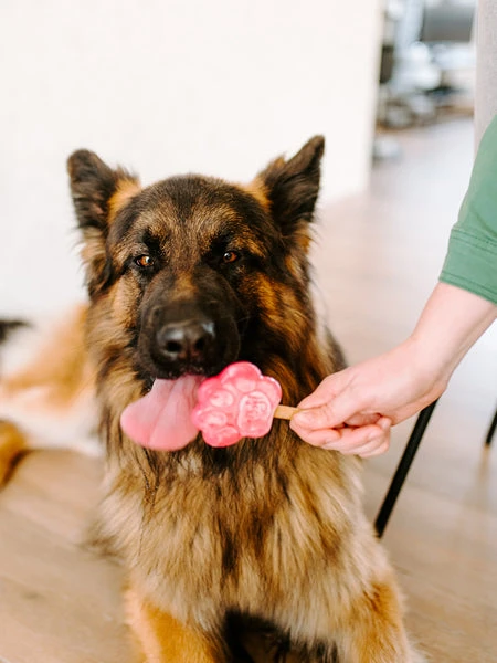 Mélange Pour Glaces Pour Chien - Fraise 🍦🍓 - Smoofl – Image 4