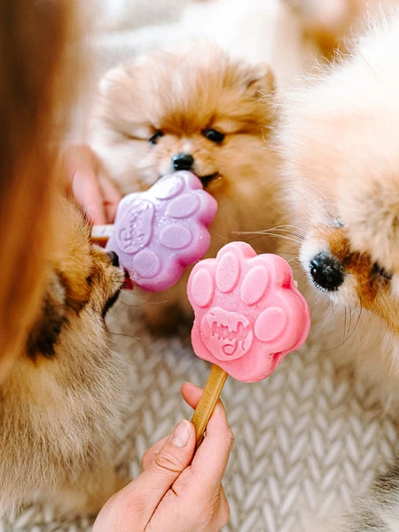 Mélange Pour Glaces Pour Chien - Fraise 🍦🍓 - Smoofl – Image 2
