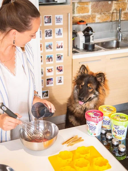 Moule à Glaces Pour Chiot Et Petit Chien - Taille S - Smoofl – Image 2