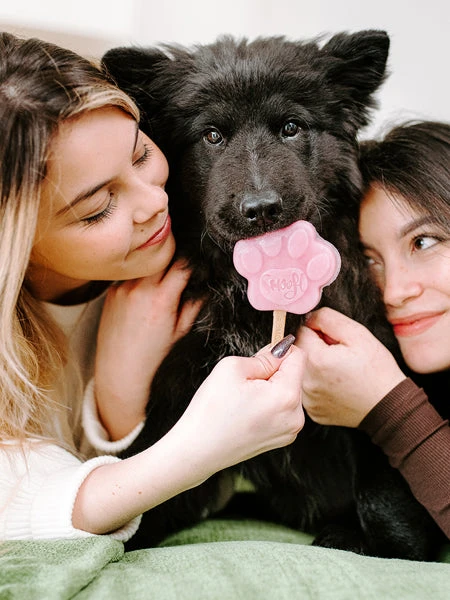 Mélange Pour Glaces Pour Chien - Fraise 🍦🍓 - Smoofl – Image 3