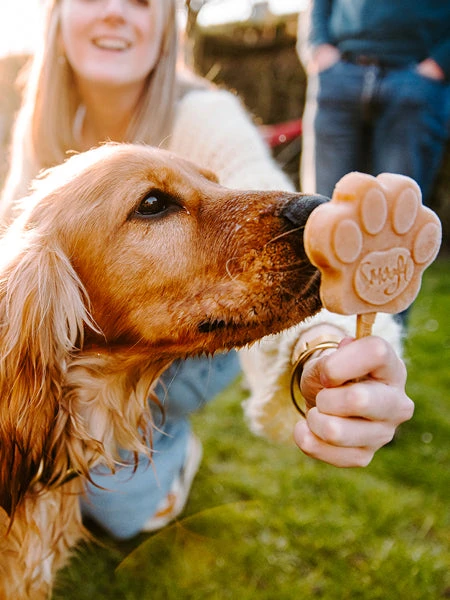 Mélange Pour Glaces Pour Chien - Beurre De Cacahuete 🍦🥜 - Smoofl – Image 2