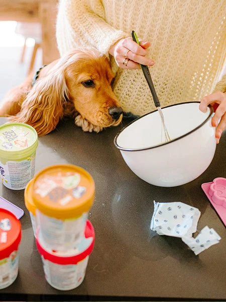 Mélange Pour Glaces Pour Chien - Beurre De Cacahuete 🍦🥜 - Smoofl – Image 3