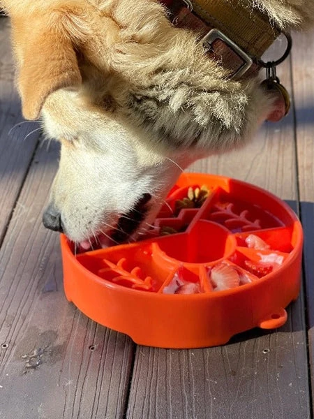 Gamelle D'enrichissement - Montagne - SodaPup – Image 2