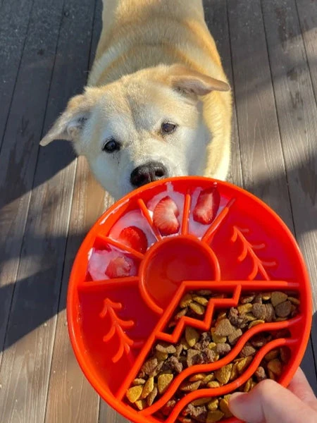 Gamelle D'enrichissement - Montagne - SodaPup – Image 3