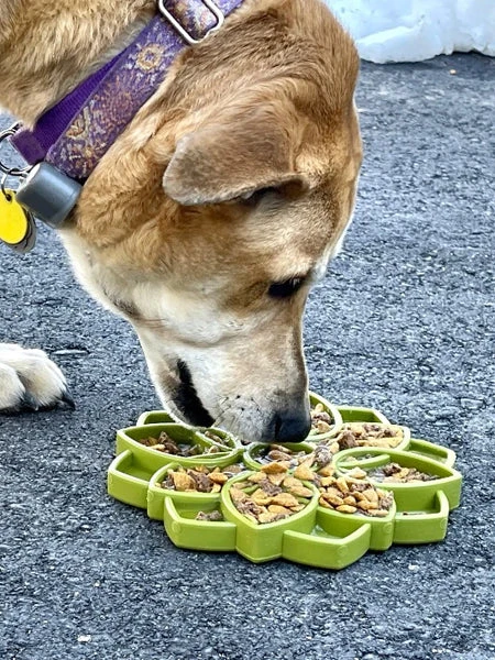 Gamelle D'enrichissement - Mandala - Vert - SodaPup – Image 5