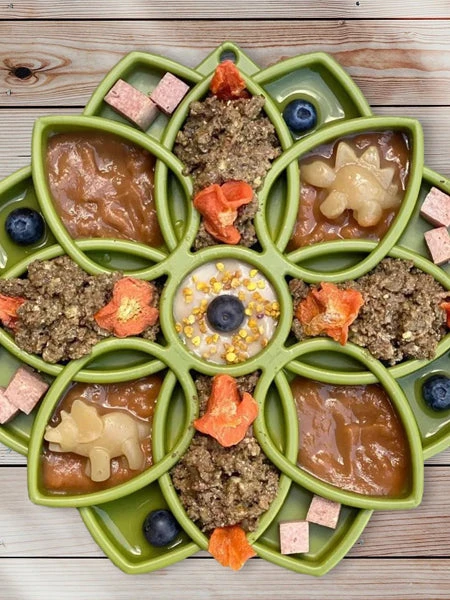 Gamelle D'enrichissement - Mandala - Vert - SodaPup â Image 4