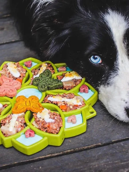 Gamelle D'enrichissement - Mandala - Vert - SodaPup – Image 3