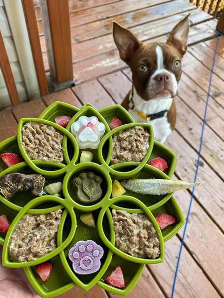 Gamelle D'enrichissement - Mandala - Vert - SodaPup â Image 2