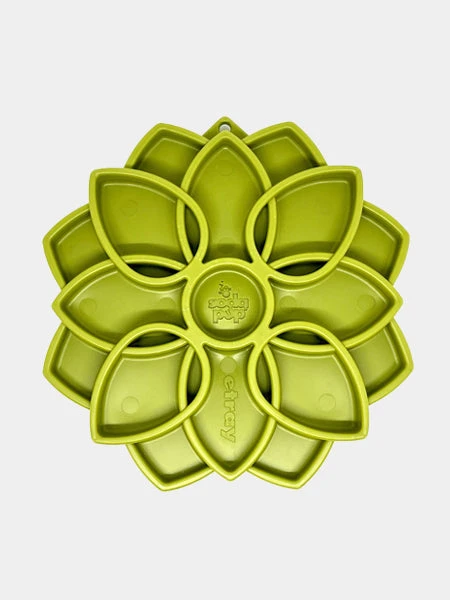 Gamelle D'enrichissement - Mandala - Vert - SodaPup