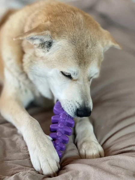 Jouet à Mâcher Ou à Lécher - Fish Bone - SodaPup – Image 2