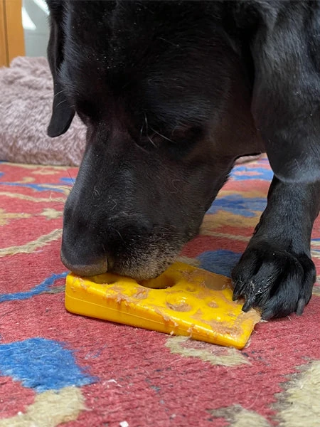Jouet à Mâcher Ou à Lécher - Fromage 🧀 - SodaPup – Image 2