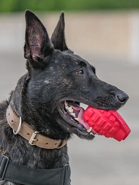 Jouet Occupation Pour Chien - Grenade - SodaPup â Image 4