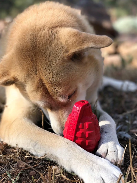 Jouet Occupation Pour Chien - Grenade - SodaPup â Image 3