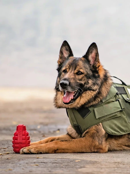Jouet Occupation Pour Chien - Grenade - SodaPup â Image 2