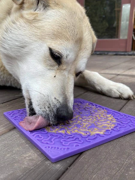 Tapis De LĂ©chage Pour Chien Et Chat - Os Violet - SodaPup â Image 2