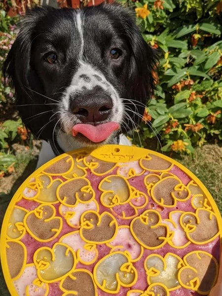 Tapis De Léchage Pour Chien Et Chat - Canard 🦆 - SodaPup – Image 2