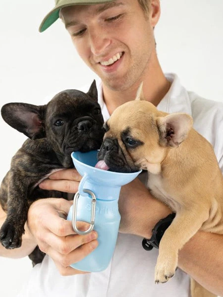 Gourde Pour Chien Avec Distributeur Dâeau - Medium (44 Cl) Bleu - Springer â Image 2