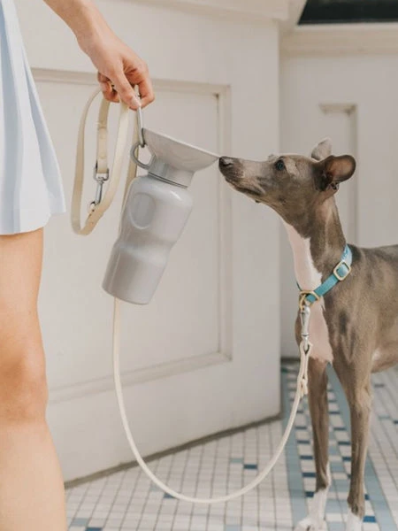 Gourde Pour Chien Avec Distributeur D’eau - Large (65 Cl) Gris - Springer – Image 2