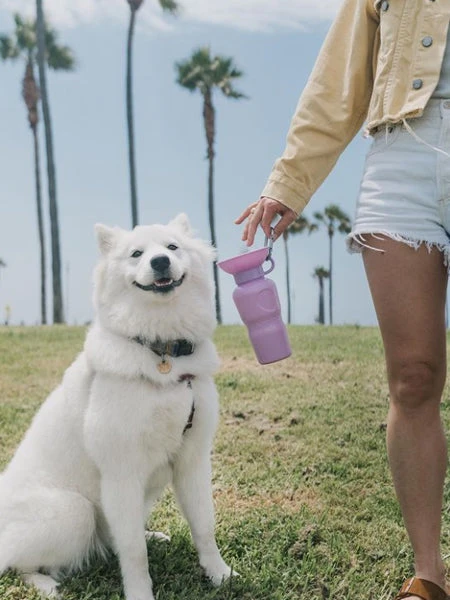 Gourde Pour Chien Avec Distributeur Dâeau - Large (65 Cl) Lila - Springer â Image 3