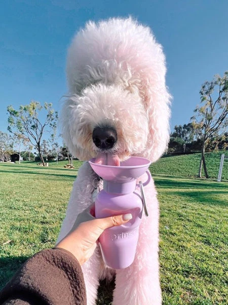 Gourde Pour Chien Avec Distributeur Dâeau - Large (65 Cl) Lila - Springer â Image 4