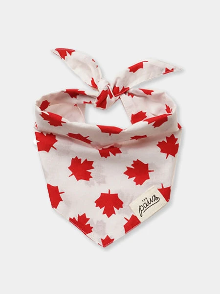 Bandana Pour Chien - Motif Banff đ - The Paws