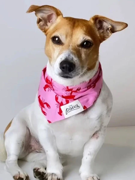 Bandana Pour Chien - Motif Homard Frye Island 🦞 - The Paws – Image 2