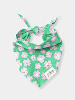 Bandana Pour Chien - Motif Ziggy 🌼 - The Paws