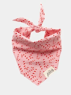 Bandana De Noël Pour Chien - Motif Candyland Rose - The Paws