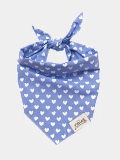 Bandana Pour Chien - Motif Coeur Bleu - The Paws